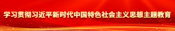 逼逼操鸡学习贯彻习近平新时代中国特色社会主义思想主题教育